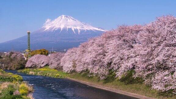 日本的风景有富士山和樱花