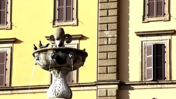 鸽子在中世纪喷泉上的慢动作FDV
