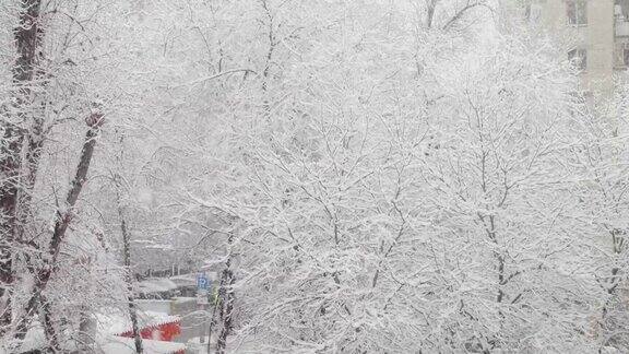 从多层建筑的窗户往外看窗外下雪了城市景观树枝上霜和雪