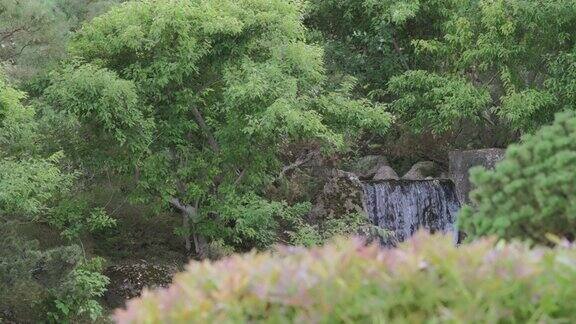 日本花园的瀑布
