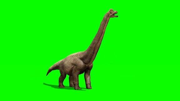 迷惑龙恐龙看绿幕