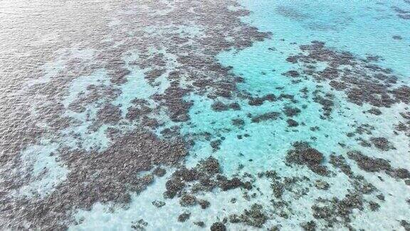无人机鸟瞰珊瑚礁