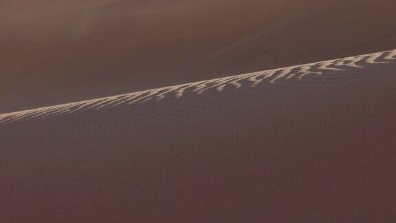 干旱气候变化气候危机全球变暖风吹过的沙波纹纹理沙丘