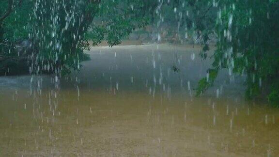 丛林里的一条河上下着大雨