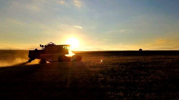 日落时背光的联合收割机在金色的田野上收割小麦