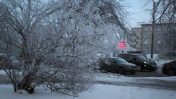 冬天城市被雪覆盖树木被霜覆盖