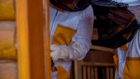 两个养蜂人在检查蜜蜂
