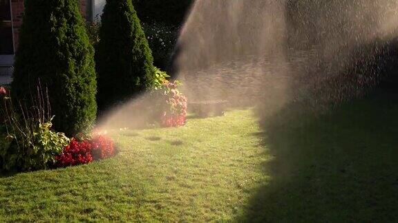自动洒水系统浇灌草坪