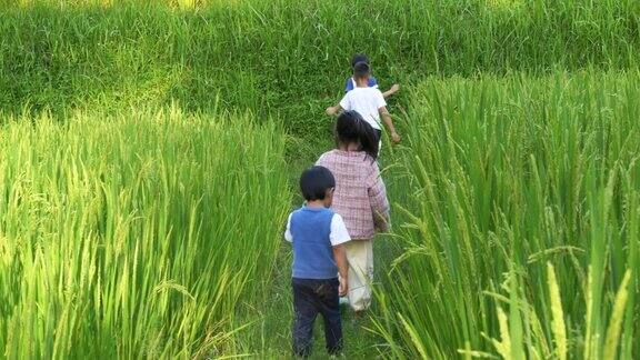 儿童们在田间小路上研究昆虫
