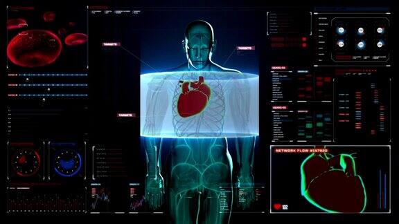 前体扫描心脏数字显示人体心血管系统