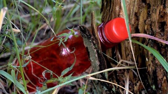 树旁边的红色塑料瓶
