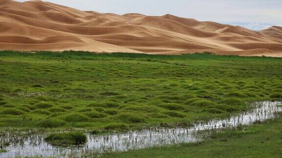 沙丘前绿草和小河