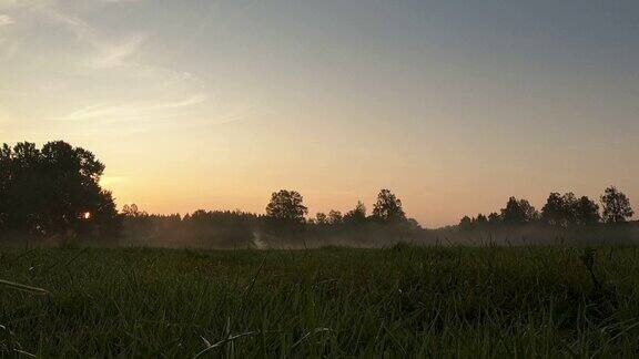 日出的时间在清晨薄雾笼罩着田野