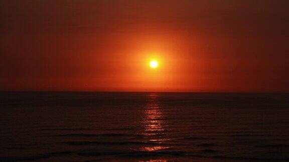 美丽的红色晚霞映照着太阳的光辉无数的海鸥在沙滩上飞翔