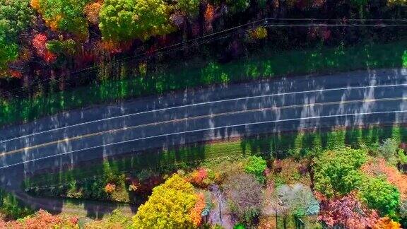 在阿巴拉契亚山波科诺斯宾夕法尼亚州的森林道路顶视图秋天的树叶空中无人机视频