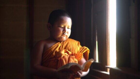 东南亚泰国小和尚在寺院内读书传授佛法