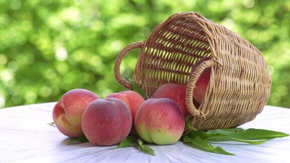 桃果与叶在竹篮模糊花园背景新鲜甜桃在木制篮子超过自然农场的背景