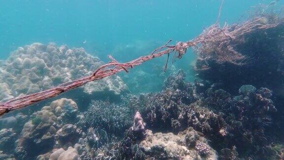 鬼网捕鱼对珊瑚礁的污染是一场水下环境灾难