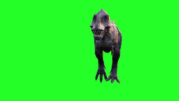 动画奔跑的恐龙雷克斯暴龙3d渲染在绿色的背景