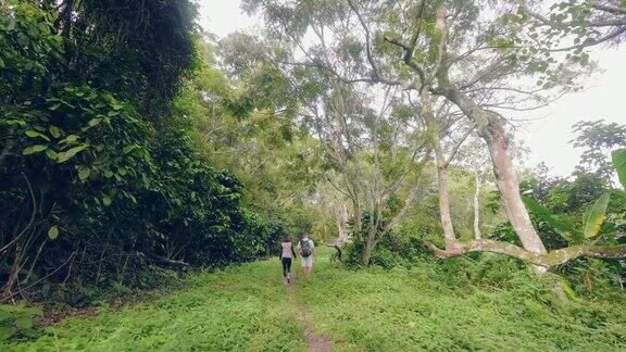 游客夫妇漫步在热带雨林上的绿树和热带植物景观旅行的男人和女人走在野生丛林森林旅游