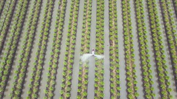 农田灌溉系统鸟瞰图