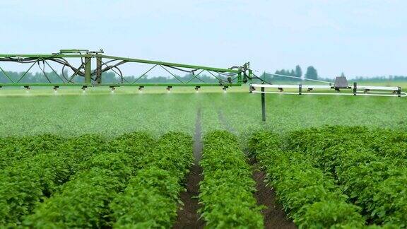 用除草剂喷洒马铃薯田喷嘴的工作植物的保护