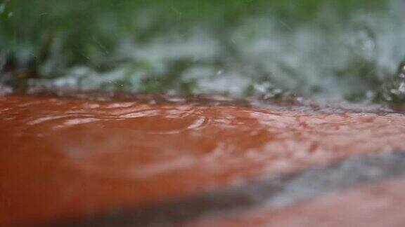 在夏天的雨天雨滴以120帧秒的慢速下落