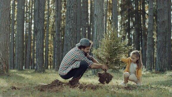 父女在种树