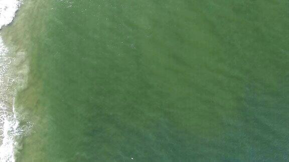 绿色的海胆与防波堤
