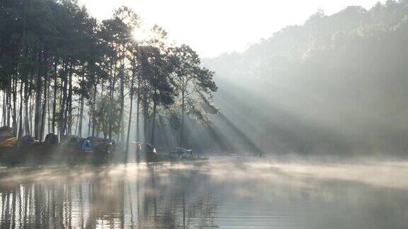 上午的气氛和阳光在庞翁湖森林种植园梅洪臣省泰国北部亚洲旅游景点让人放松与自然为伴慢动作