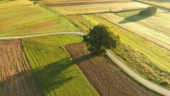 斯洛文尼亚普雷克穆里耶蜿蜒道路上宁静、田园诗般的乡村耕地上的绿树