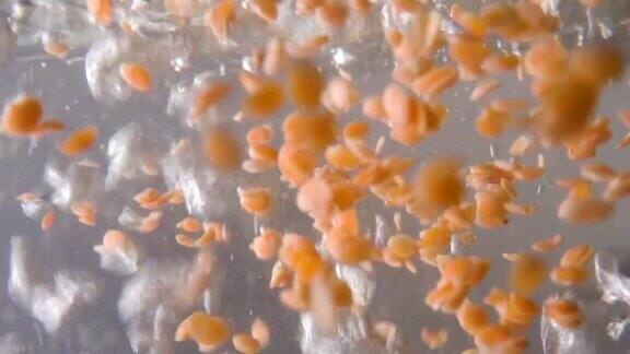 刺红的扁豆落入沸水中宏观视图