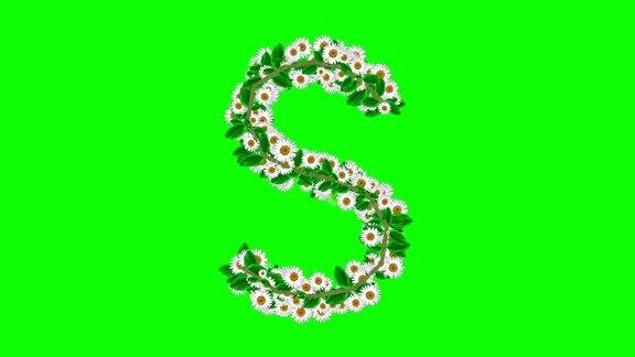 英文字母S与雏菊花在绿色屏幕背景