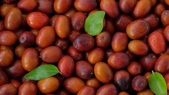 红枣果或酸枣果背景旋转收获成熟有用的浆果枣树果实(常见Unabi中国Yuyuba-枣树的外来果实)