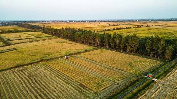 美丽乡村稻田的航空摄影