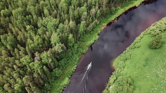 无人机视图:飞越松树林自然旅游无人机飞过针叶林