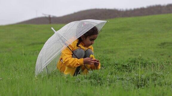 小女孩们在雨中摘花