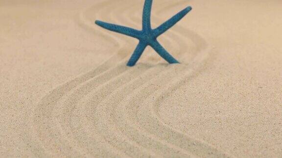 近似的蓝色海星站在沙线离开地平线