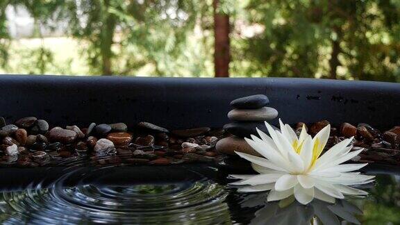 水滴在平衡石和白莲花附近落水的慢动作