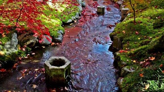 秋季日式花园(Koyo)