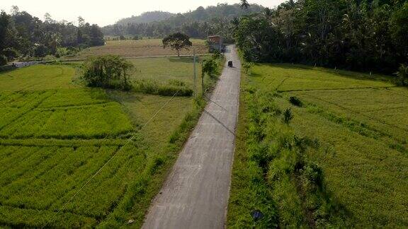 斯里兰卡稻田中间的乡村道路