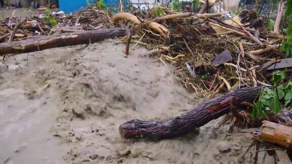 飓风和洪水期间城市里的树木碎片