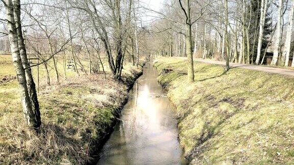 小溪流过树柱廊自然公园小巷中的小溪