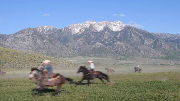 牛仔放牧马与狗对犹他州山的背景