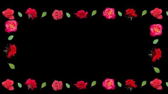 以黑色背景为背景的玫瑰花架极简的展示形式文字企业形象支持名称标志字母花店现代设计