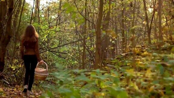 女孩提着篮子走在秋天的森林里FullHD替身视频