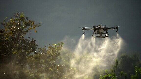 无人机在稻田喷洒化学品