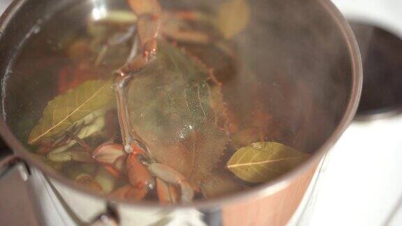 正在用锅煮月桂叶红蟹特写