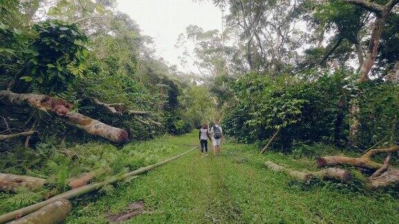 年轻夫妇手牵着手走在绿色的丛林森林后景男人和女人走在热带雨林中倒下的树木和绿色的热带植物