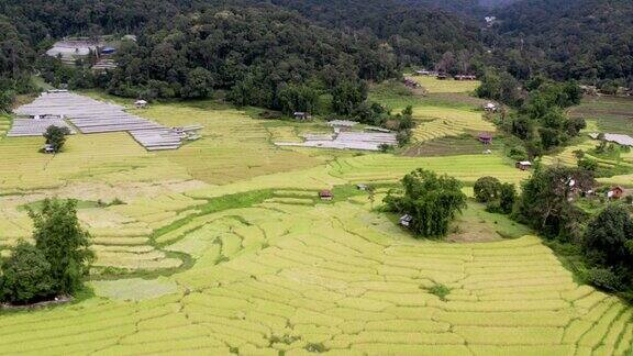 泰国清迈BanPaBongPiang村的水稻梯田鸟瞰图